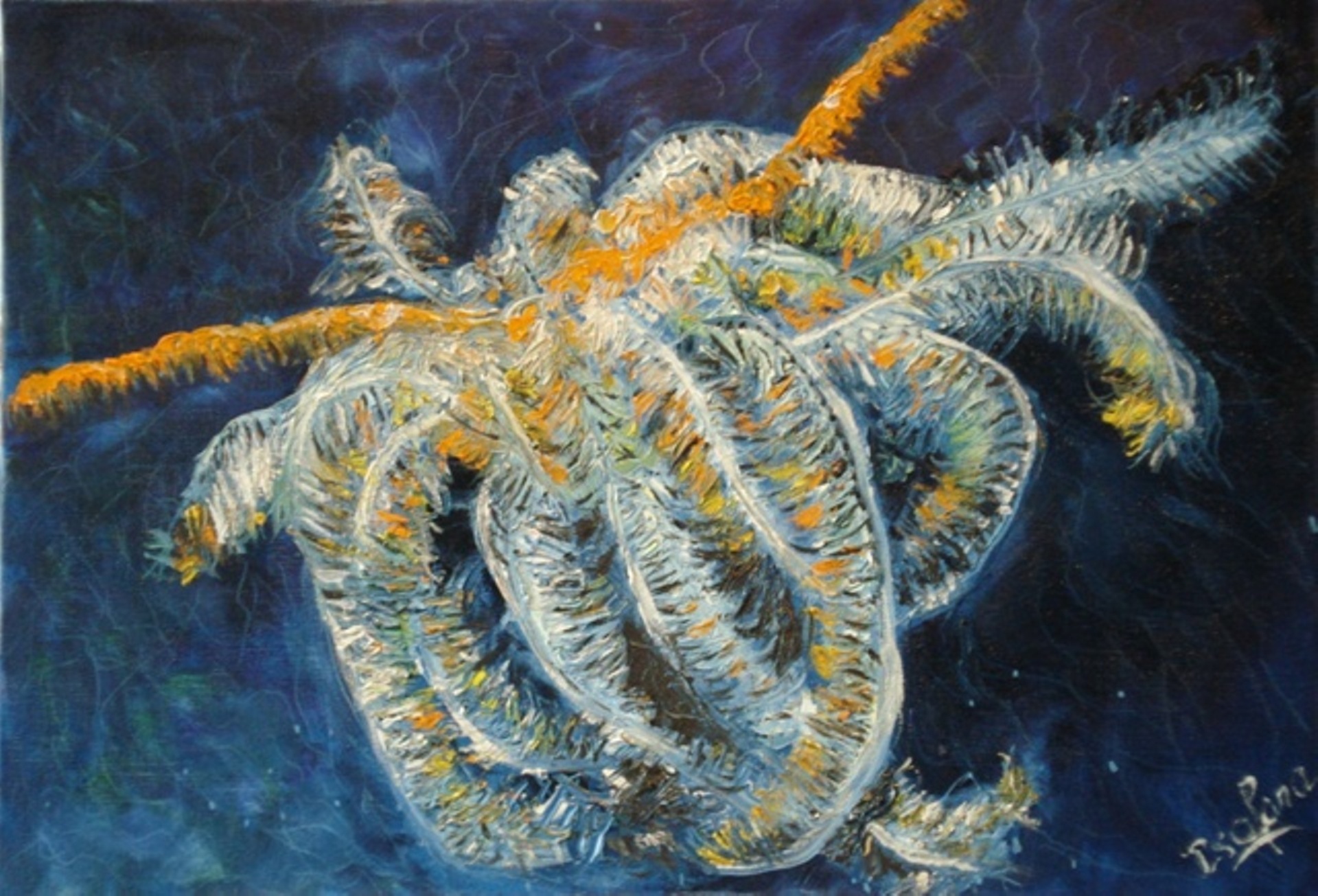 Fonds marins — peinture Isafara 6
