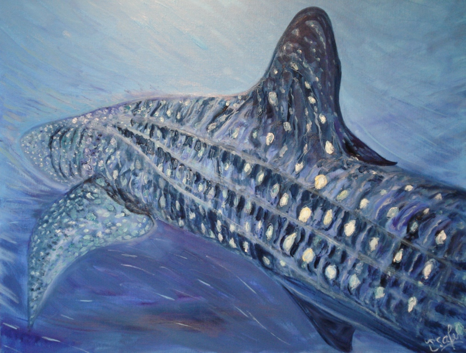 Fonds marins — peinture Isafara 18